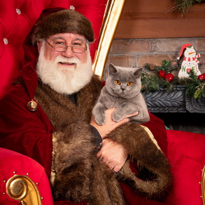 Santa Photo with cats